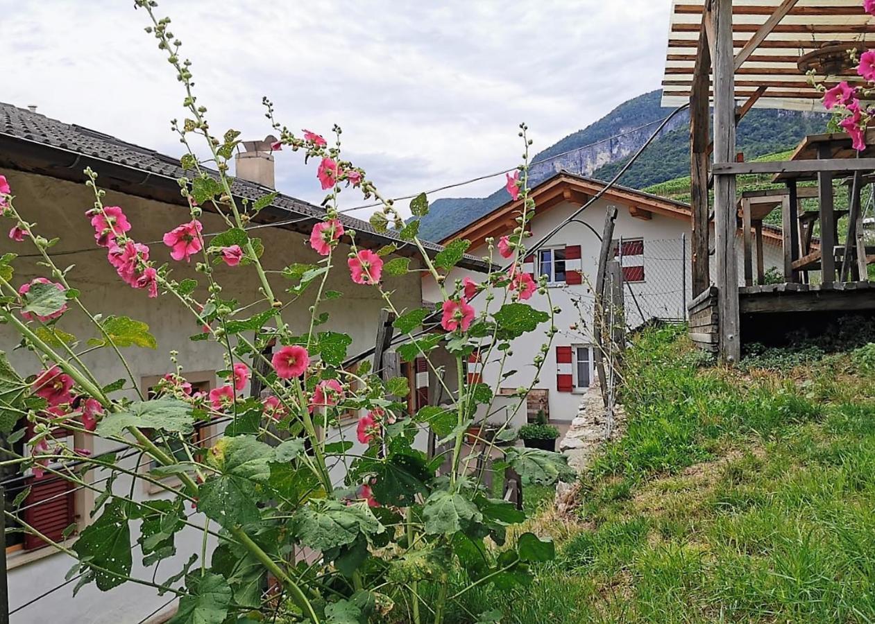 Voldersberghof Apartment Cortaccia Exterior foto