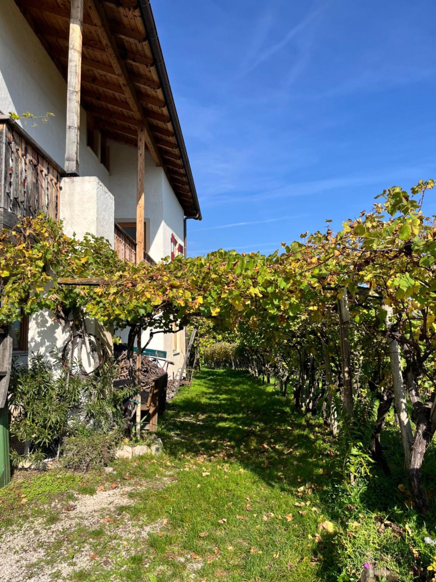 Voldersberghof Apartment Cortaccia Exterior foto